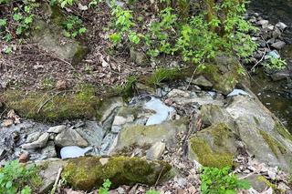 Skażenie potoku Skomielnianka w Małopolsce