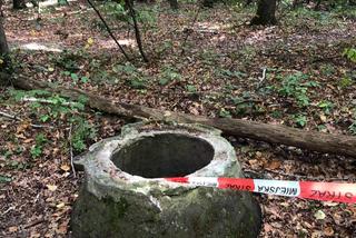 Poznań: Niebezpieczne odkrycie w środku lasu! Obyło się bez ofiar 