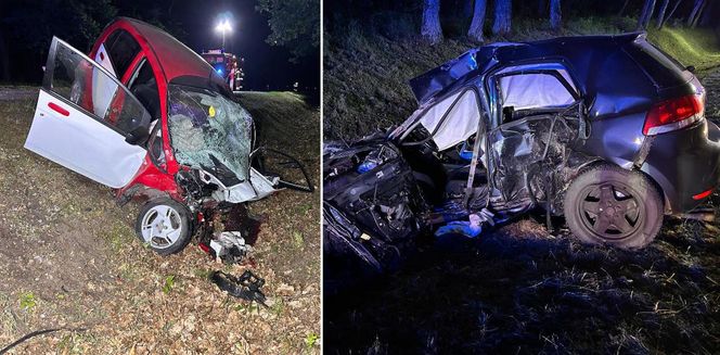 Śmiertelny wypadek pod Miliczem. 18-latek nie żyje [ZDJĘCIE]. 