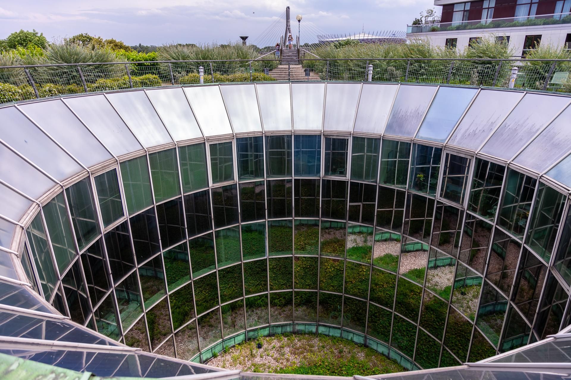 Ogród na dachu BUW w Warszawie