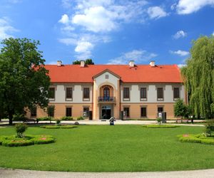 Stalowa Wola. Miasto przyszłości zdaniem AI 
