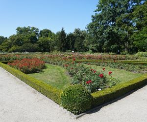 Ogród Botaniczny w Poznaniu 