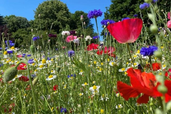 Łuck i Rzeszów współpracują na rzecz terenów nadrzecznych