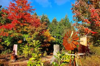 Ogrody Kapias w październikowej szacie wyglądają pięknie