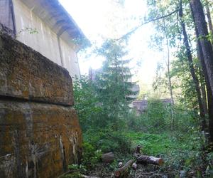 Monumentalna śluza Leśniewo z symbolami III Rzeszy ukryta w mazurskim lesie. Jest owiana tajemnicą [ZDJĘCIA]