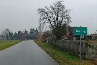 Koń zrujnował życie 16-letniej Klaudii. Mama: Cudem udało się ją uratować