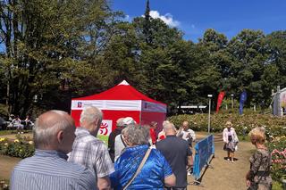 Kolejka tort urodziny Szczecina 