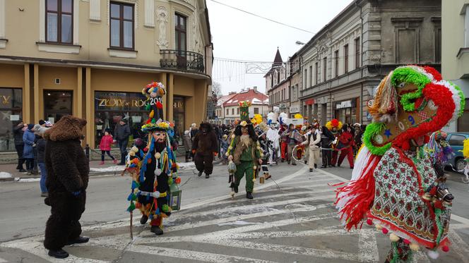 Gody Żywieckie plener