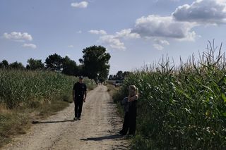 Wybuch w woj. lubelskim. Na pole kukurydzy spadł niezidentyfikowany obiekt 