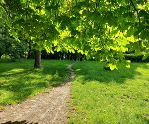Park Miejski w Zamościu