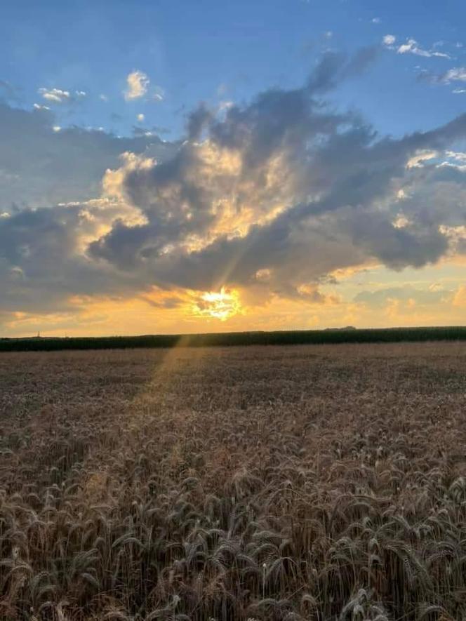 Zdjęcia Poznania od naszych Czytelników. Sprawdź te niesamowite ujęcia!