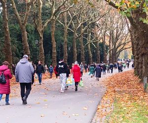 1 listopada na Cmentarzu Centralnym w Szczecinie