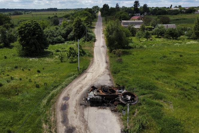 Pies-saper pomoże w Ukrainie. Poleci tam ze Stanów Zjednoczonych