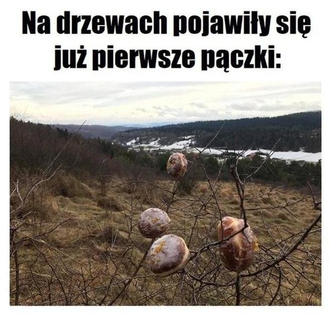 Najlepsze MEMY na Tłusty Czwartek! 