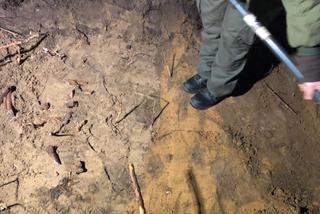 Ludzkie szczątki, łuski i elementy garderoby. Śledczy IPN odkryli mogiłę ofiar Treblinki [ZDJĘCIA]