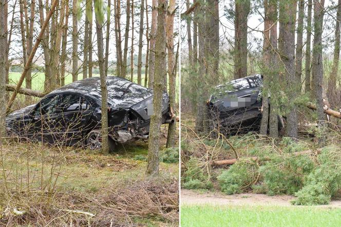 Zaorał kawałek pola i skosił kilka drzew Mercedesem. Policja poszukuje pracowitego kierowcy z gminy Cekcyn