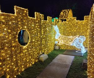 Park iluminacji w Lublinie