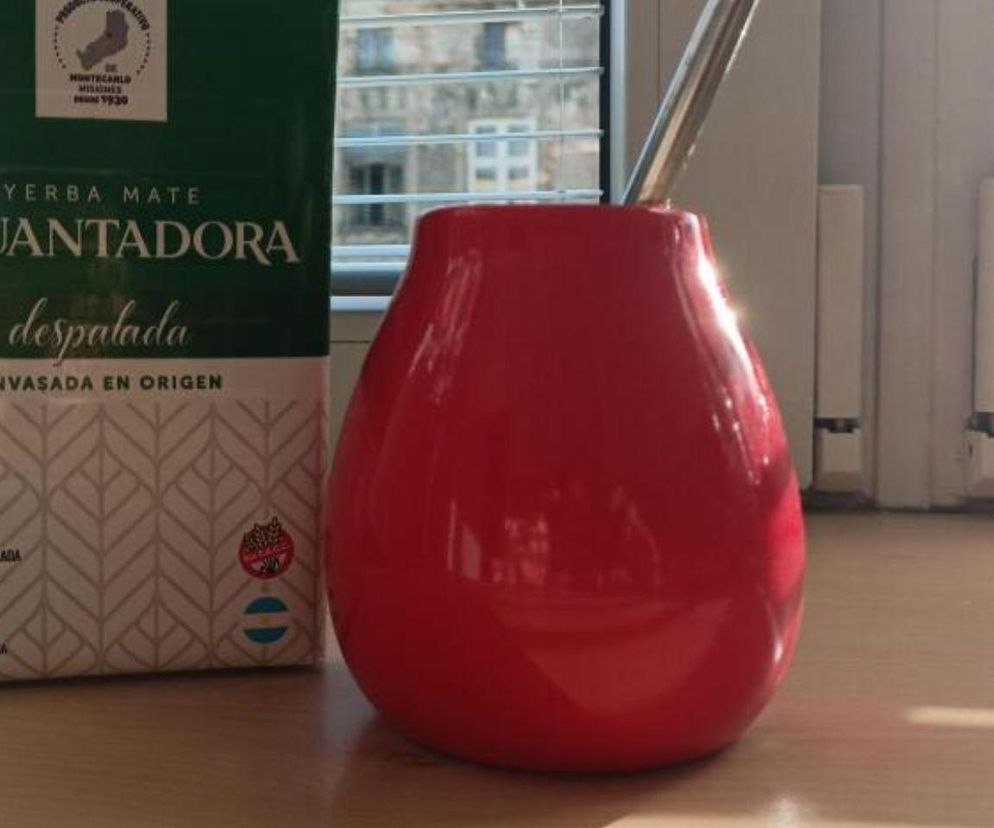 Yerba mate zamiast kawy? Odkryj, jak ten napój zmienia poranki i koncentrację