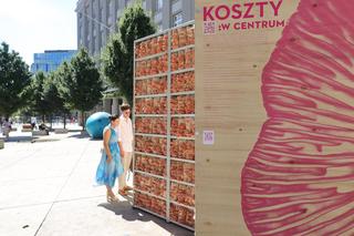 Instalacja z boczniaków w Warszawie