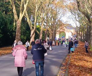 1 listopada na Cmentarzu Centralnym w Szczecinie