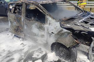 Makabryczny wypadek na S8 pod Wyszkowem