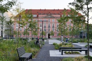 Życie w Architekturze 2025. Zielenienie Placu Nowy Targ we Wrocławiu. Roman Rutkowski Architekci & a+f projektowanie przestrzeni