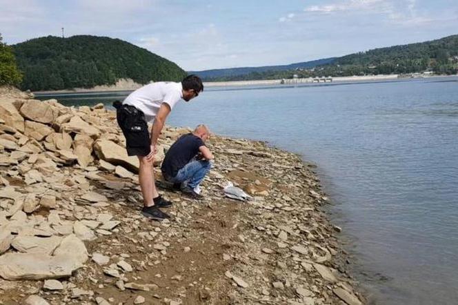 Niecodzienna akcja policjantów z Leska: Uratowali rannego ptaka nad Soliną