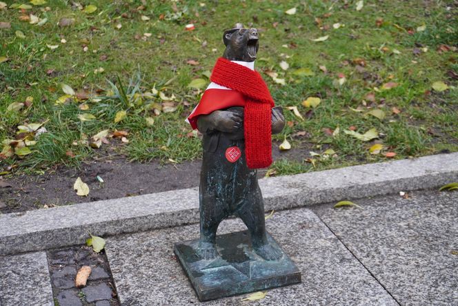 WidziMisie w Białymstoku gotowe na zimę