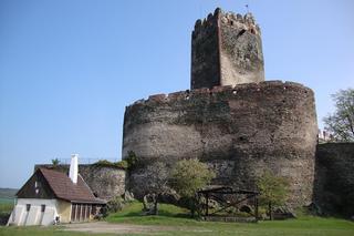   Niesamowite znaleziska w Bolkowie. Odkryli tajemniczą budowlę i ponad tysiąc kafli 