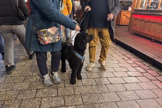 Otwarcie Jarmarku Bożonarodzeniowego 2024 we Wrocławiu