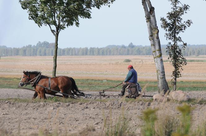 Magiczne Podlasie