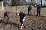 Justyna i Mateusz z serialu Rolnicy. Podlasie