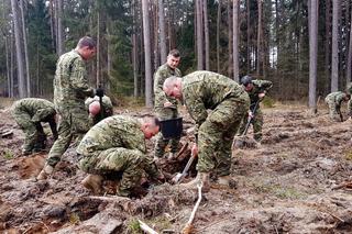 NATO sadzi puszczę