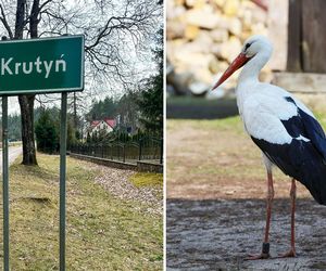 Pojechaliśmy odwiedzić Krutka. Płakałam jak bóbr