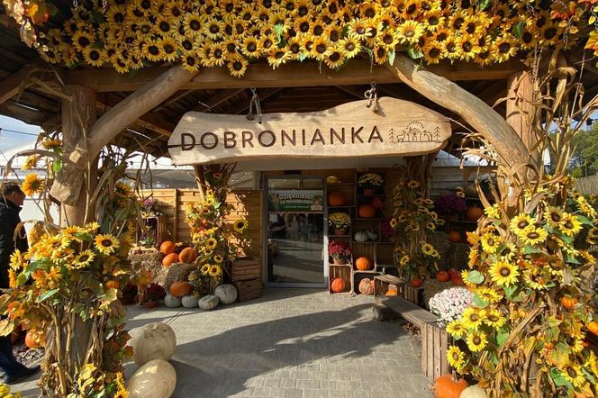 Dobronianka