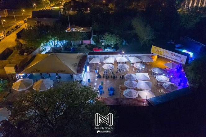 Roślinki lubią muzykę. Piątek z ogrodnikami w Streat Food Młynowa