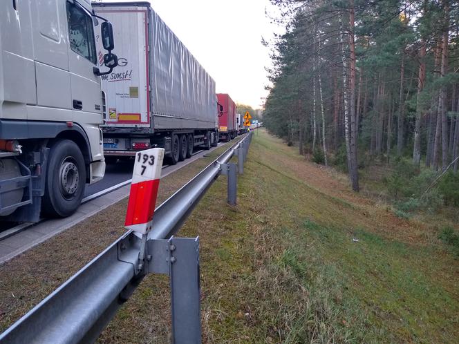 Gigantyczne kolejki ciężarówek przed Bobrownikami. Kierowcy muszą czekać 39 godzin na przekroczenie granicy