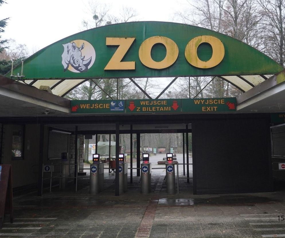 Poznańskie zoo