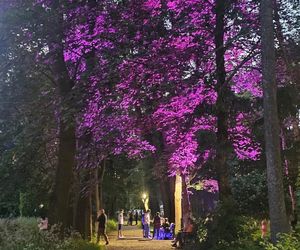 Park Świateł