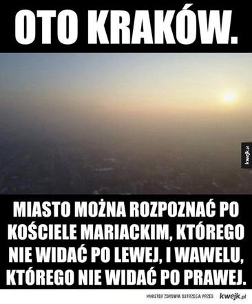 Najlepsze memy o Krakowie. Te grafiki bawią do łez 
