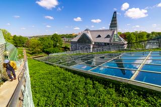 Dach zielony Biblioteki Uniwersytetu Warszawskiego