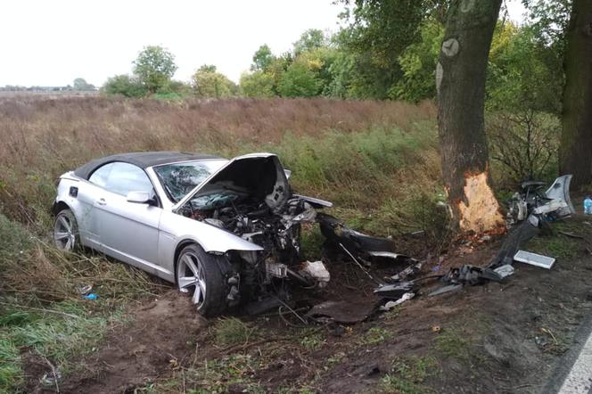 BMW roztrzaskało się na drzewie