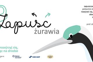 Zapuść żurawia na Rynku w Katowicach. W czwartek rusza społeczna akcja