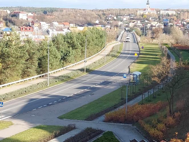 Z terenu os.Trzech Krzyży skradziono sadzonki szałwii i jałowca