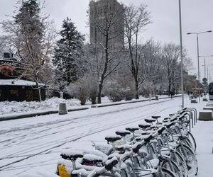 Śnieżny armagedon w Warszawie. Pierwszy atak zimy sparaliżował stolicę. Ogłoszono akcję ALFA