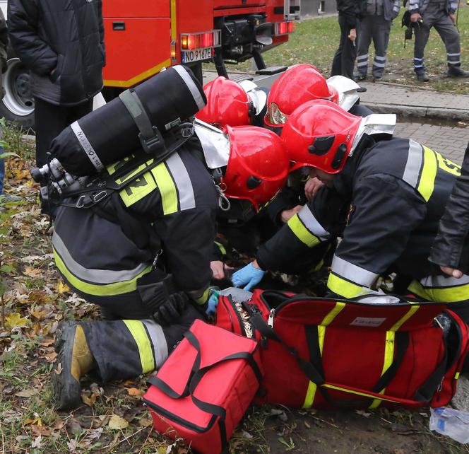 Reanimacja kotka w Olsztynie