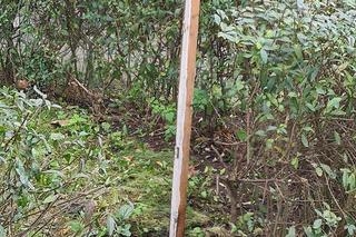 W Siemianowicach Śląskich powstało ogromne zapadlisko. Dziura głęboka na 40 metrów. Jest ewakuacja