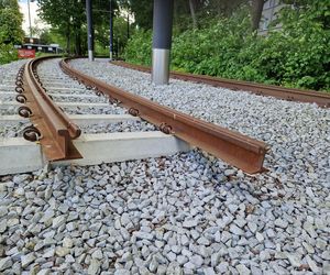 Torowisko tramwajowe na Babiej Wsi w Bydgoszczy zarośnięte chwastami. Tramwaje zniknęły stąd lata temu