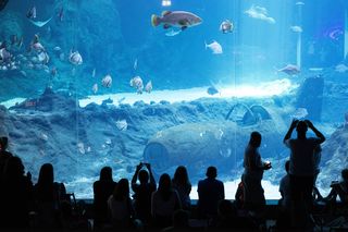 Te miejsca w Łodzi zasłużyły na wyróżnienie. Zna je każdy mieszkaniec