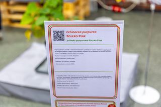 Targi Zieleń to życie 2025 - rośliny doniczkowe